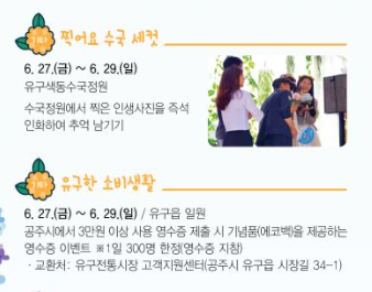 2025 유구색동수국정원 꽃 축제