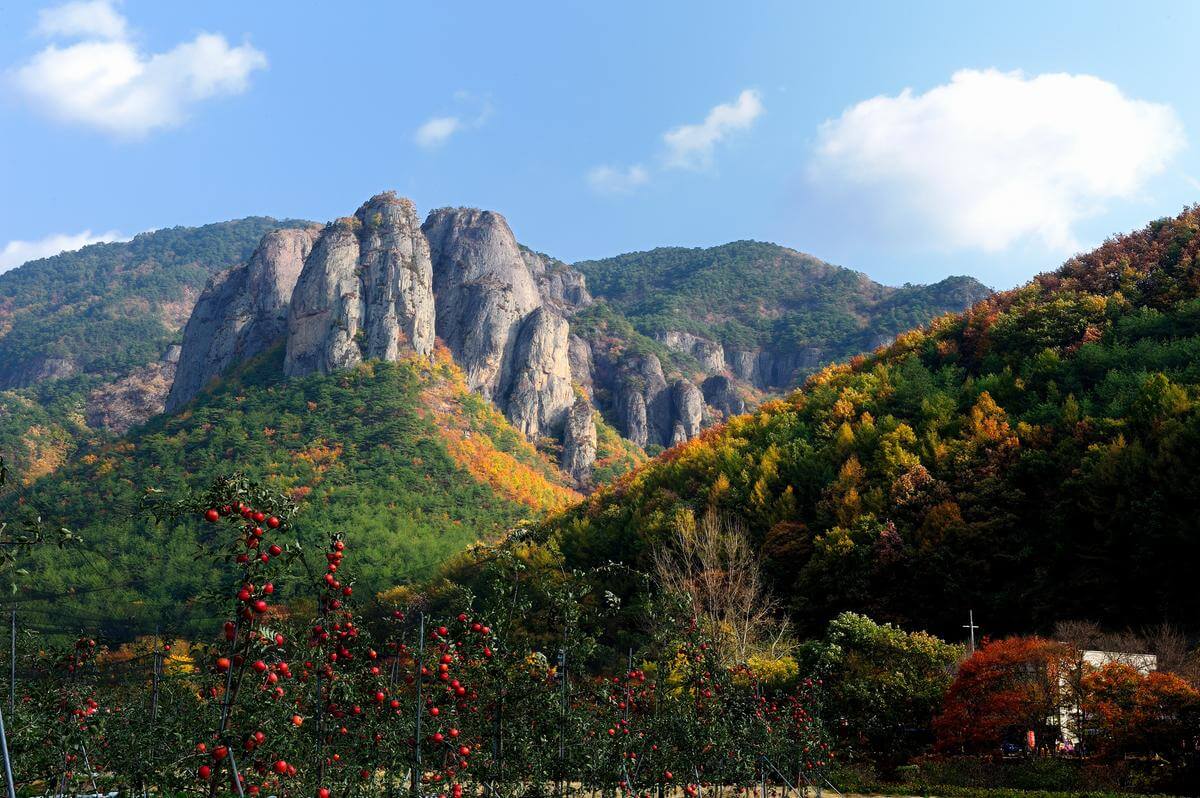 주왕산 기단암애