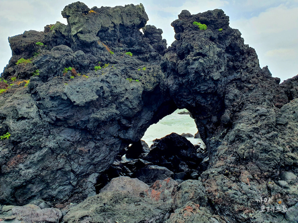제주 구좌 고망난 돌