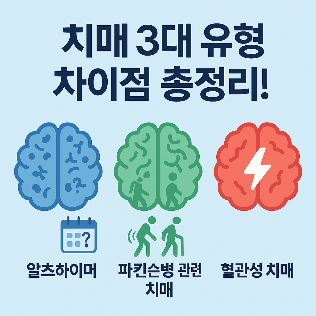 알츠하이머·파킨슨·혈관성 치매 차이점 총정리 + 증상 체크리스트