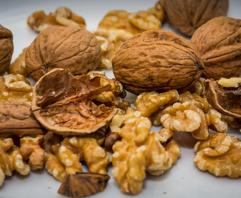 오메가3, 염증 줄이고 뇌를 깨우는 건강한 지방