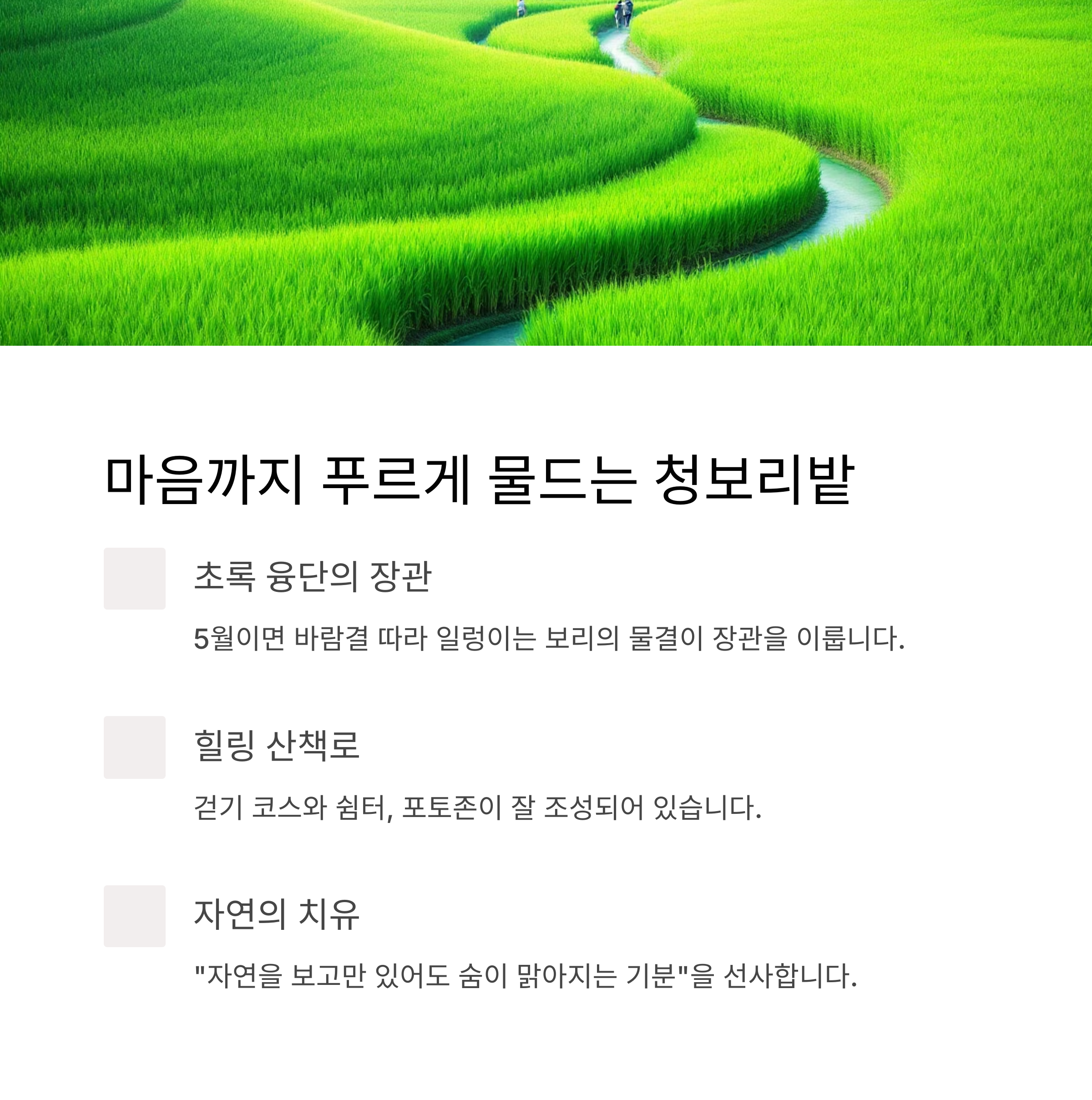 함안 청보리와 작약의 계절