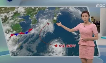 장마 예보 2025년 예상 지역별 강수 시기와 대비책 정리_8