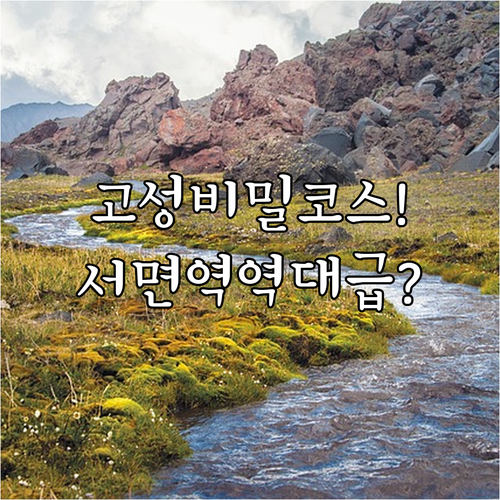 비오는날 고성 간성시장 실내 투어와 ..