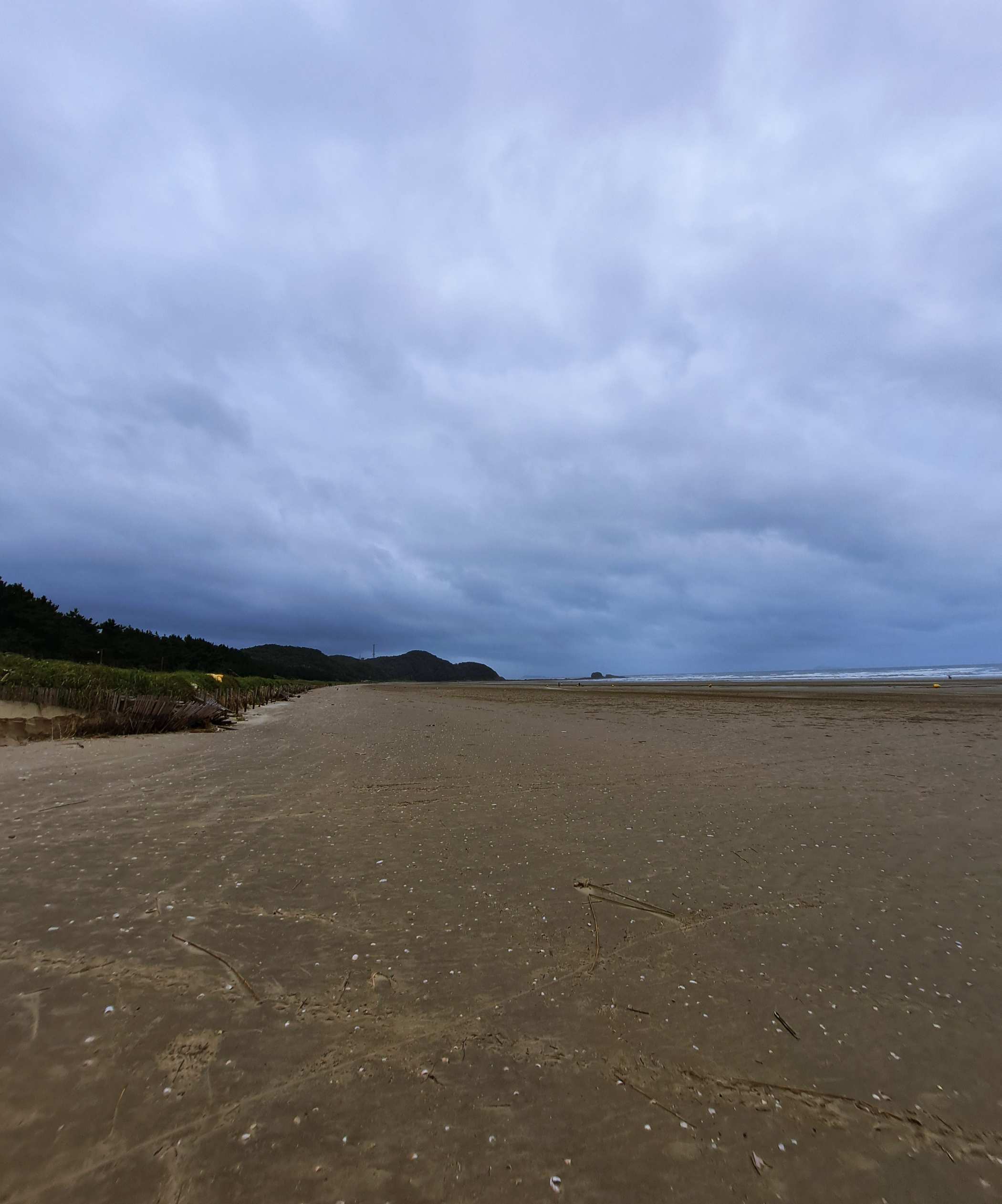 아무도 없는 안면해수욕장 백사장
