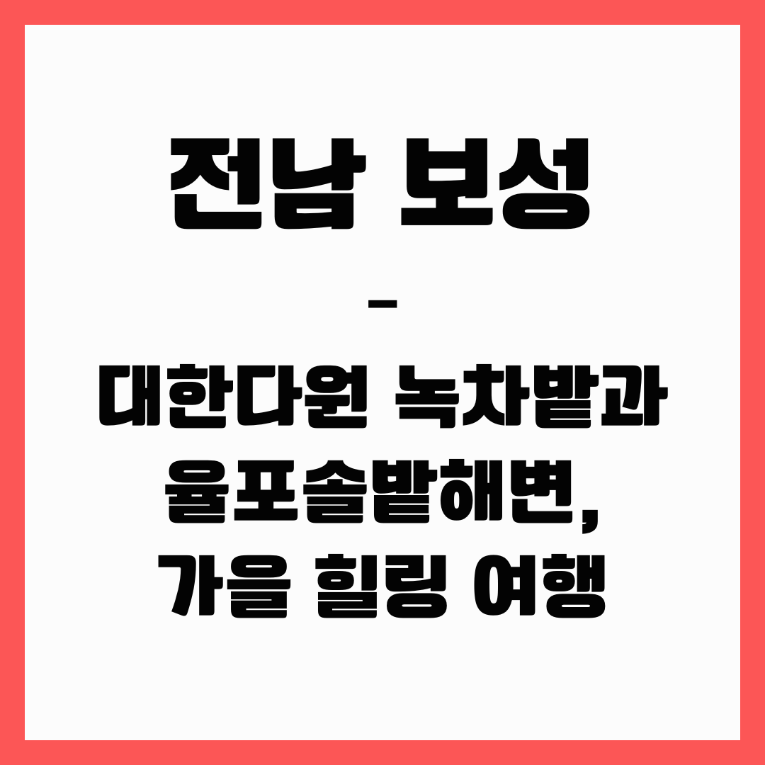 전남 여행 - 보성(대한다원 녹차밭, 율포솔밭해변)