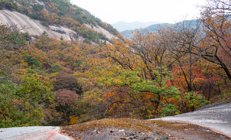 수락산 등산코스