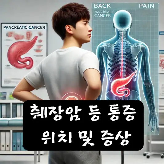 췌장암 등통증 위치 췌장 기능 특징