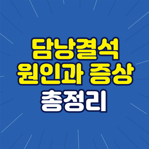 담낭결석 원인과 증상