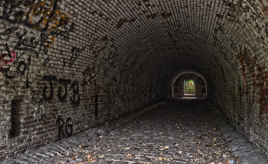 목표를 쉽게 포기한다.