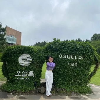 제주 오설록 티뮤지엄 관람 팁과 근처 카페 안내_7