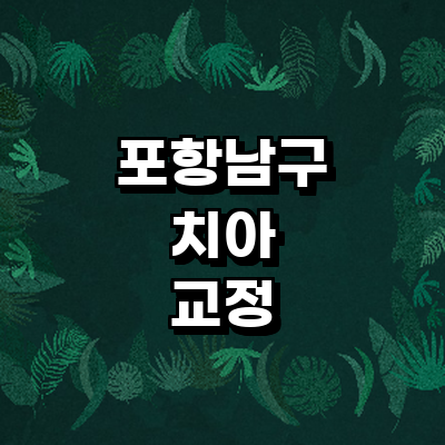 포항시 남구 교정 치과