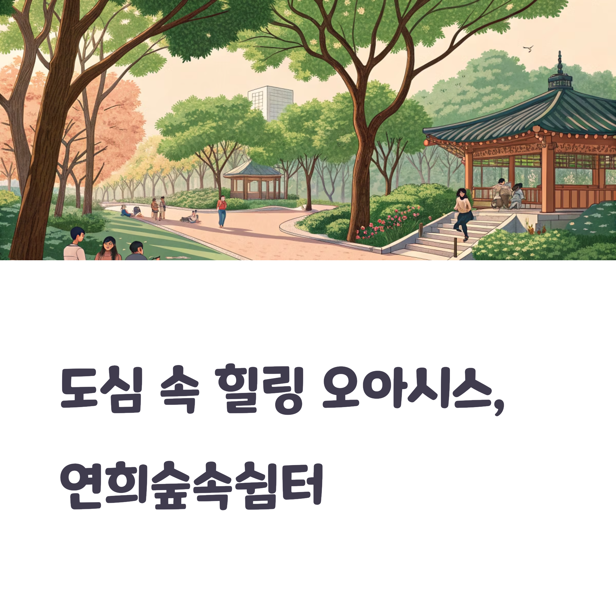 서울 한복판, 연희숲속쉼터에서 찾은 자연의 품격