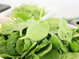 혈액 순환에 좋은 음식