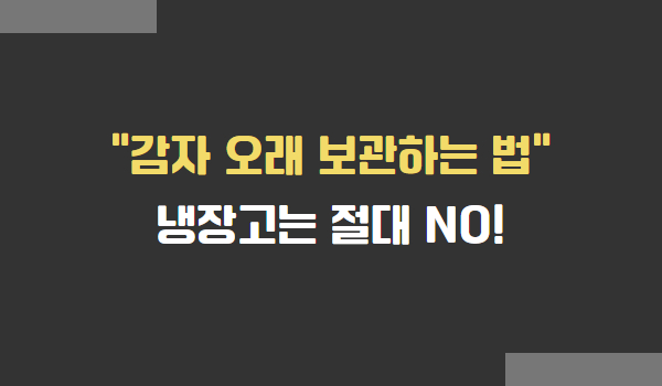 감자 오래 보관하는 법, 감자 보관법