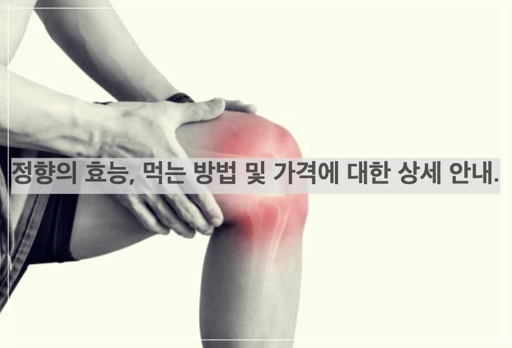 정향의 효능&#44; 먹는 방법 및 가격에 대한 상세 안내.