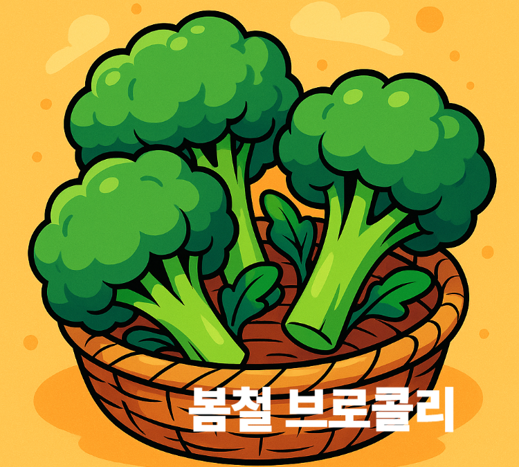 세포손상방지 항암효과 면역력강화 골다공증예방 봄철 브로콜리 효능