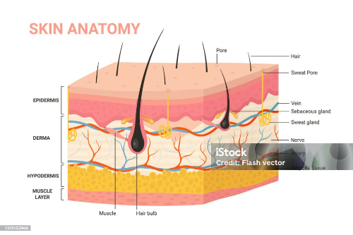 클렌징 꼼꼼하게 관리해야 하는 이유