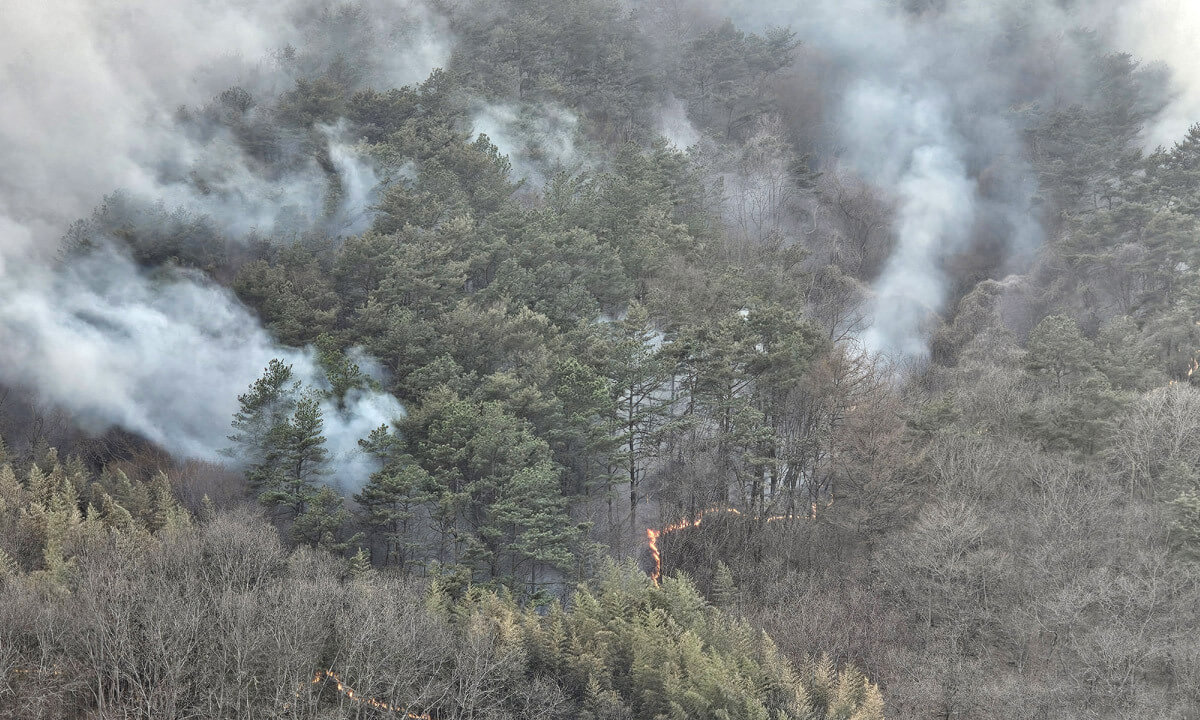 계속되는 강풍 속 산청 산불, 대원 2명 사망 2명 실종…