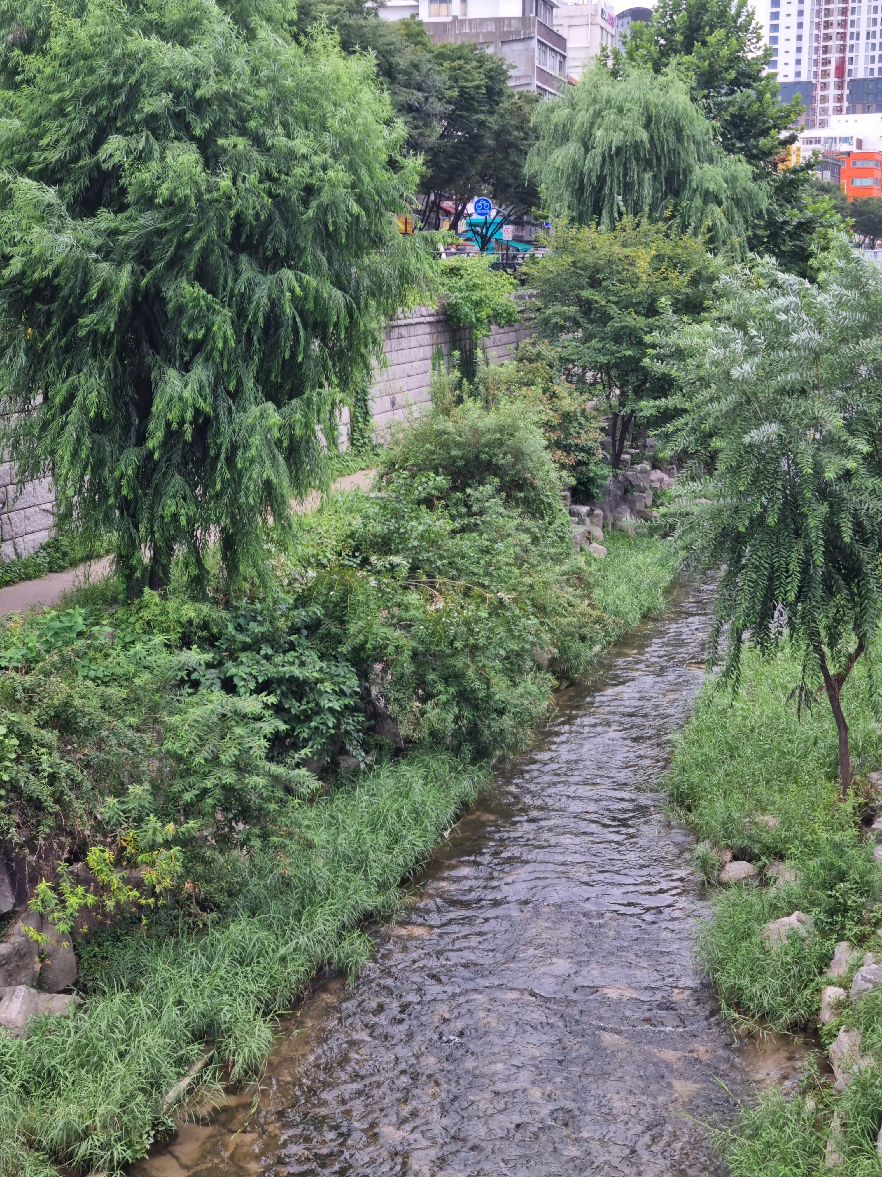 alt"광장시장 청계천"