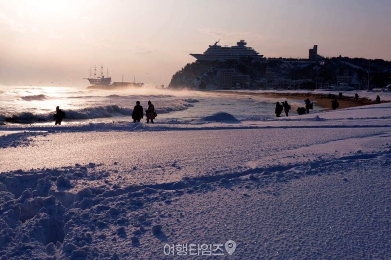 1월 강릉 정동진에서 만나는 겨울 바다 일출 여행의 모든 것