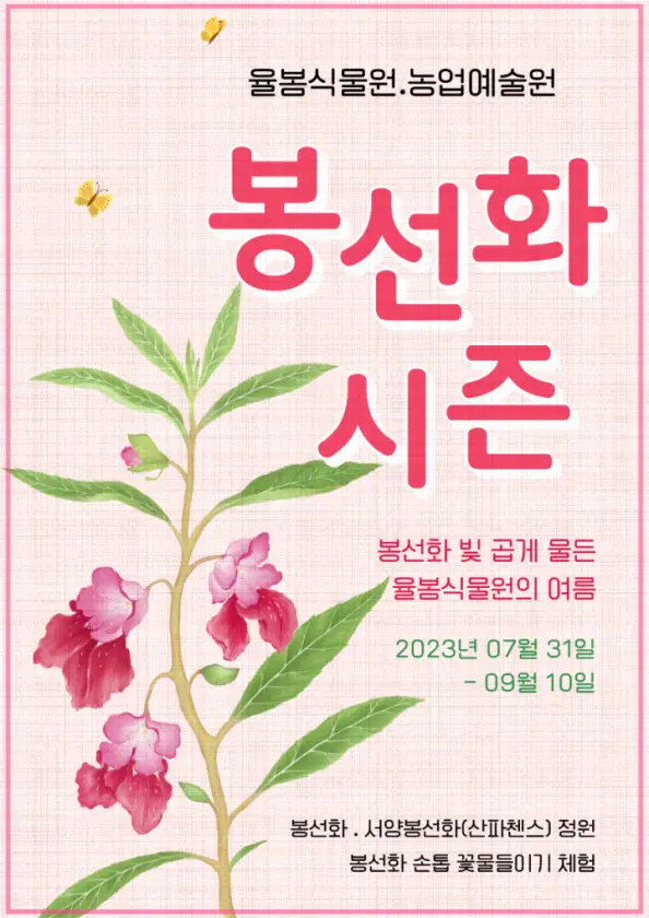 율봄식물원 봉선화 시즌