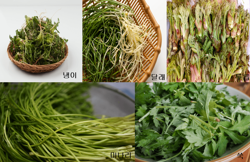 대표적인 나물 5가지 사진