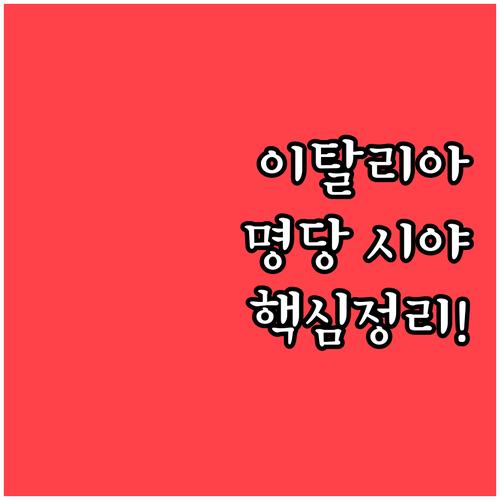 이탈리아 동계올림픽 직관 가이드 경기..