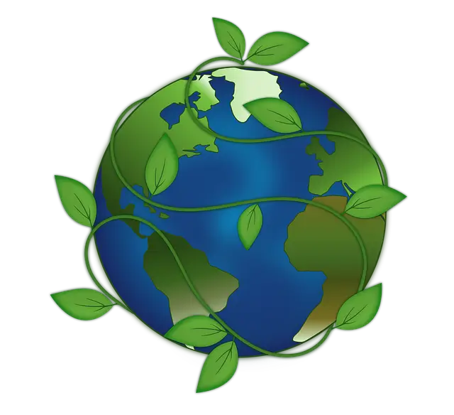 미래 장례의 모습