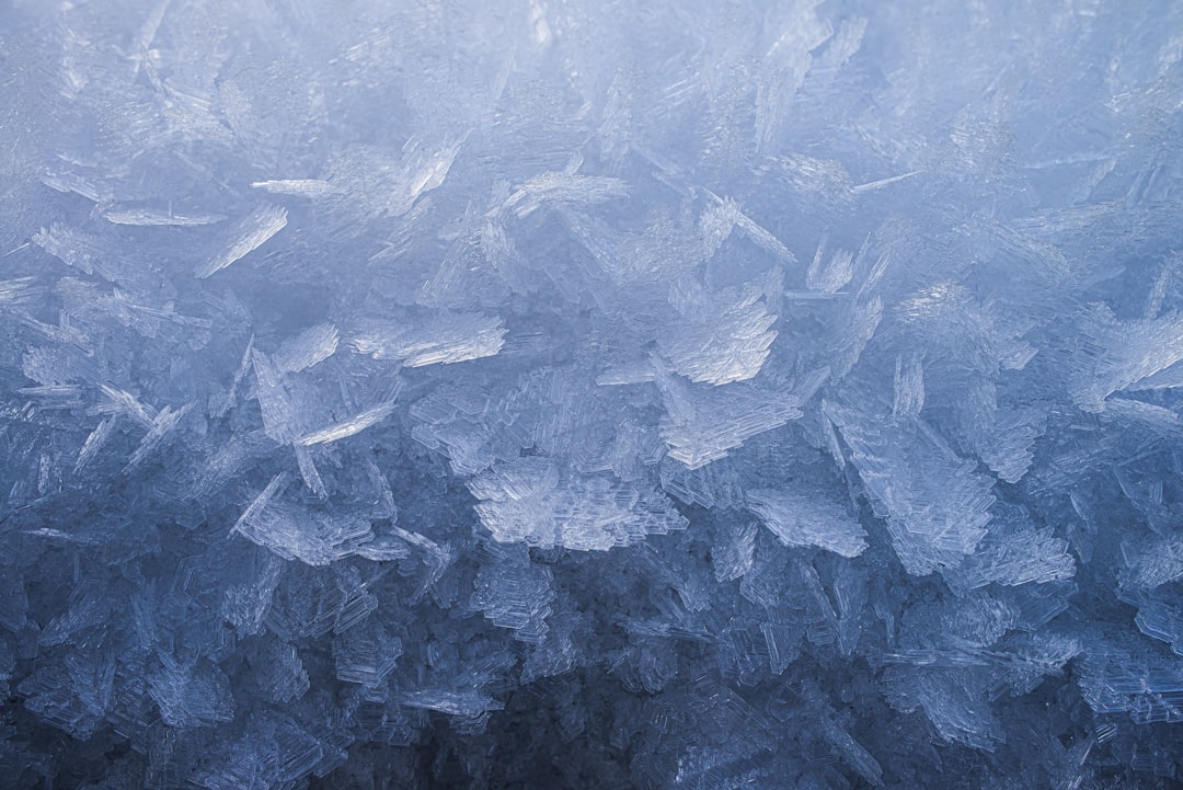 Frost