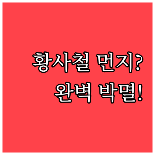 황사철 외출 후 먼지 관리와 실내 공..