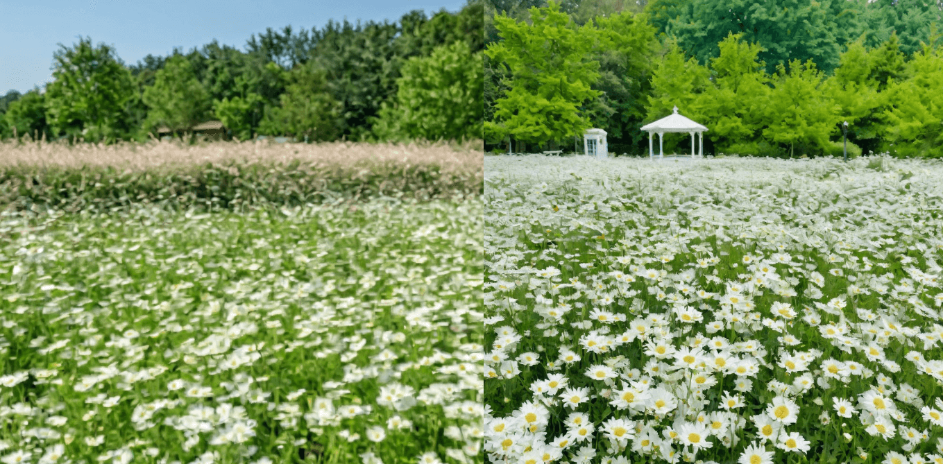 함안 악양 생태공원
