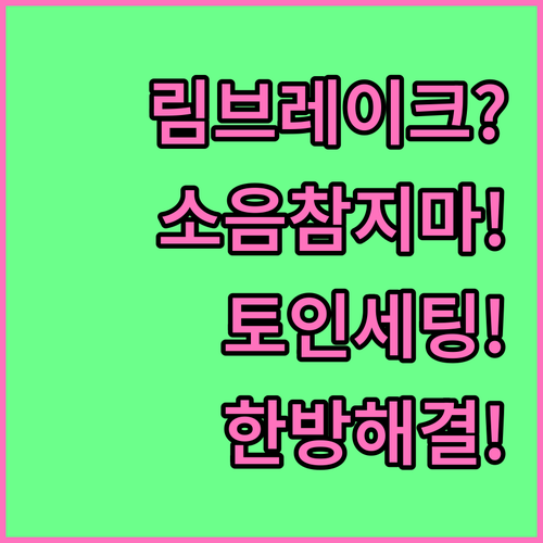 자전거 림브레이크 소음, 더 이상 참..