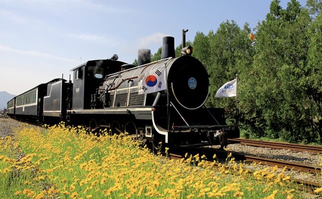 곡성 세계장미축제