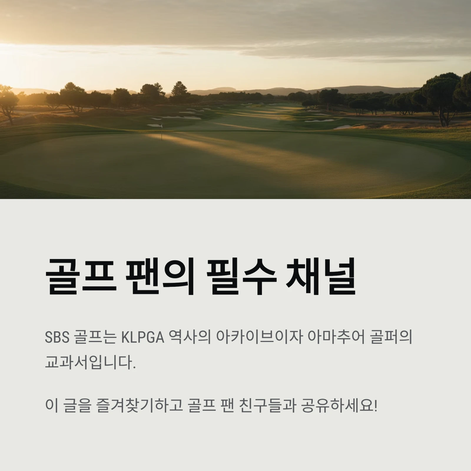 SBS 골프 온에어 편성표, 1분 만에 보는 법|채널번호·앱 총정리