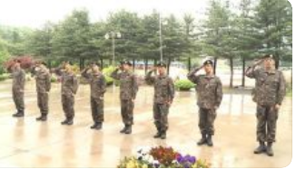 자대배채 조회방법