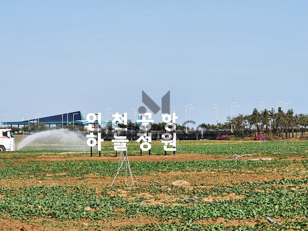 마롱컴퍼니 조형물 5