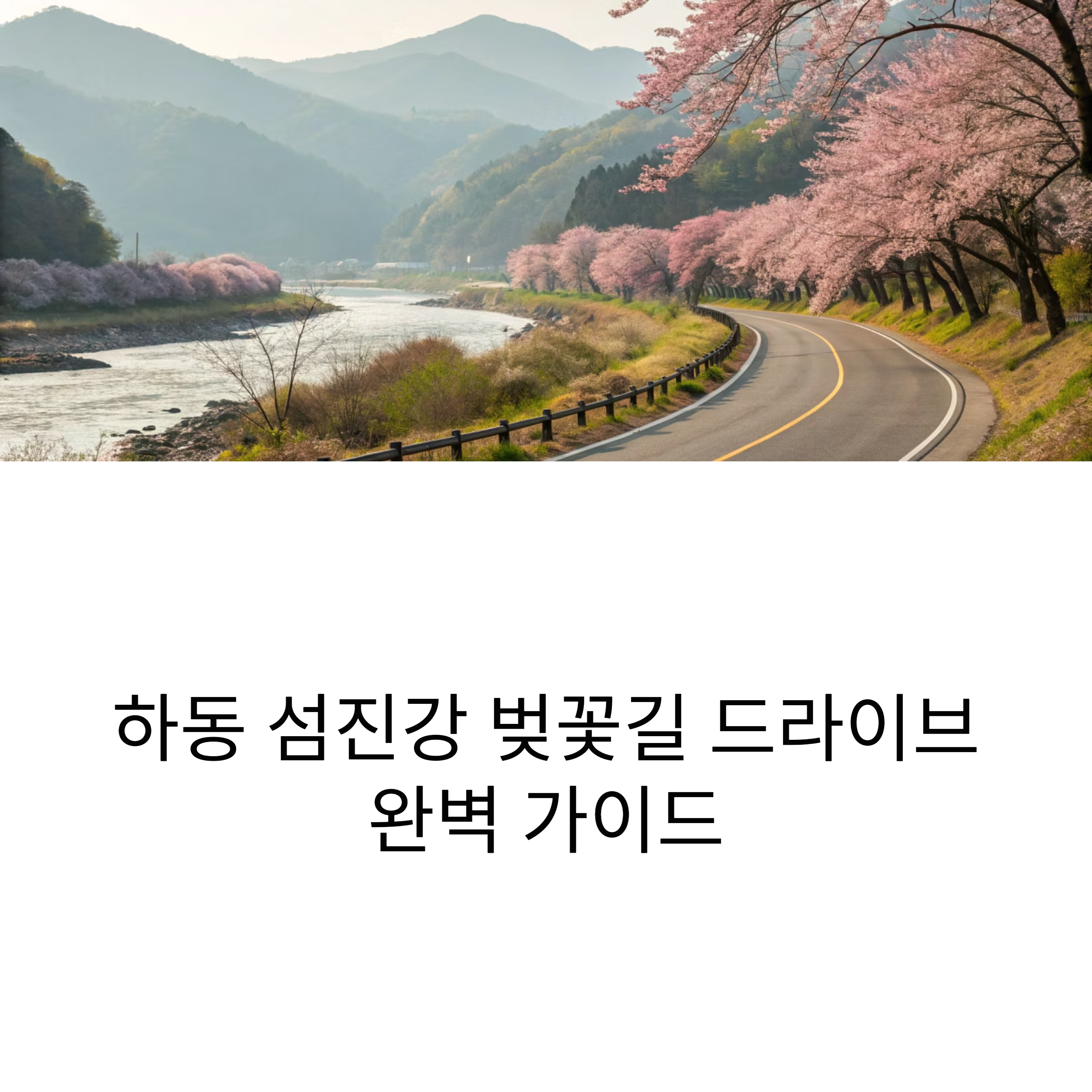 하동 섬진강 벚꽃길