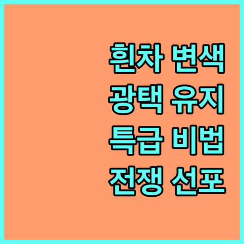 흰차 변색과의 전쟁 광택 유지하는 특