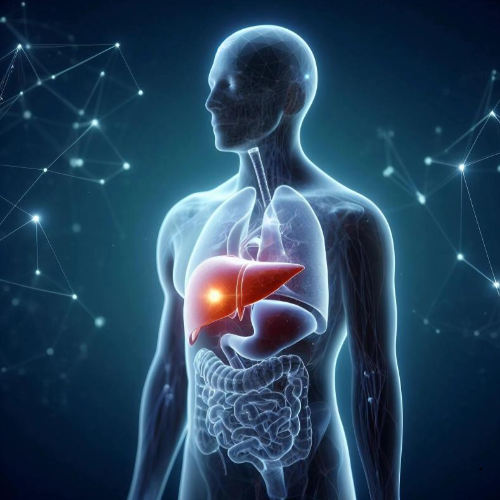 알부민의효능 간기능