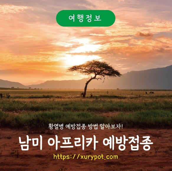 아프리카 남미 황열병 예방접종