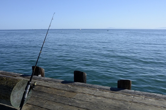 갈치 루어낚시 채비법