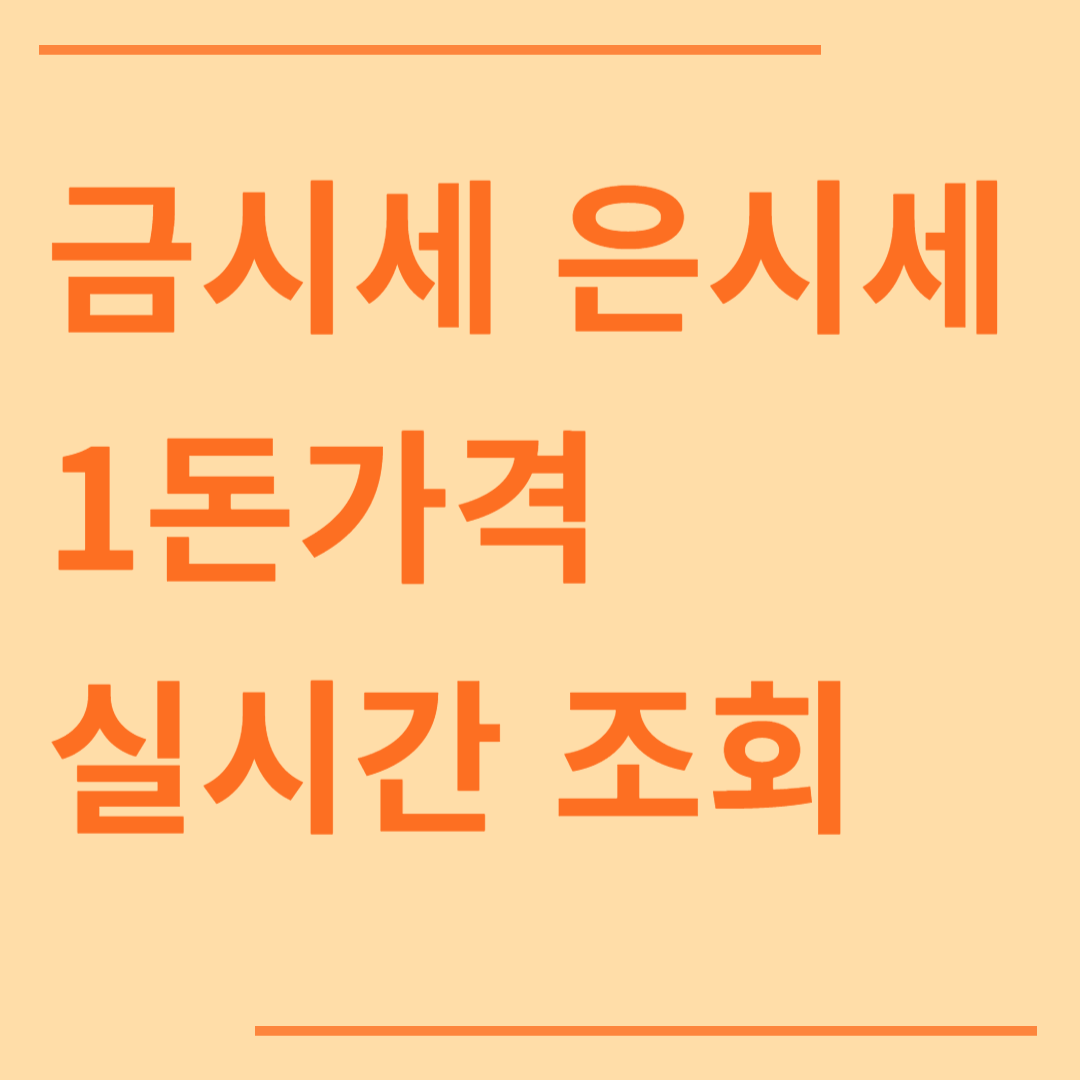 금시세 은시세 1돈가격 [오늘 1kg 실시간 조회]