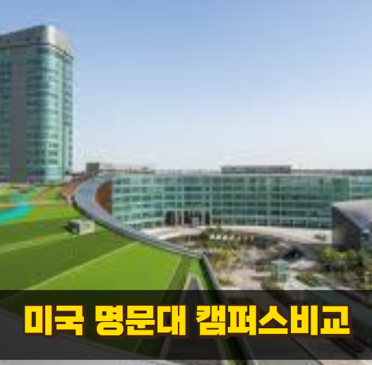 캠퍼스 분위기 좋은 미국 명문대