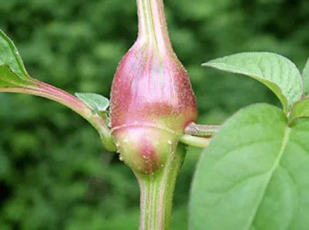 무릎-관절에-좋은-음식-건강