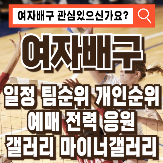 여자배구일정순위예매마이너갤러리