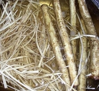 우엉 효능과 부작용 고르는법 요리 먹는법