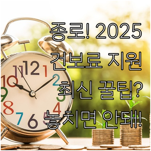 종로구 2025 건보료 지원 방문 신..