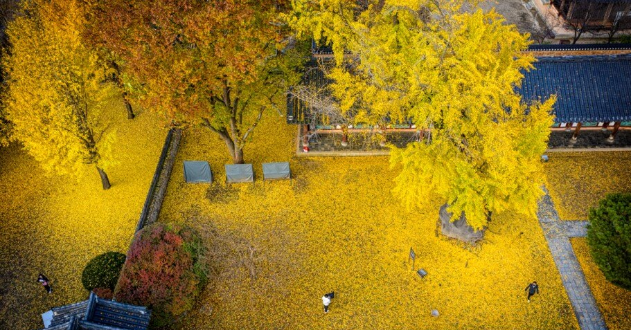 전주 한옥마을