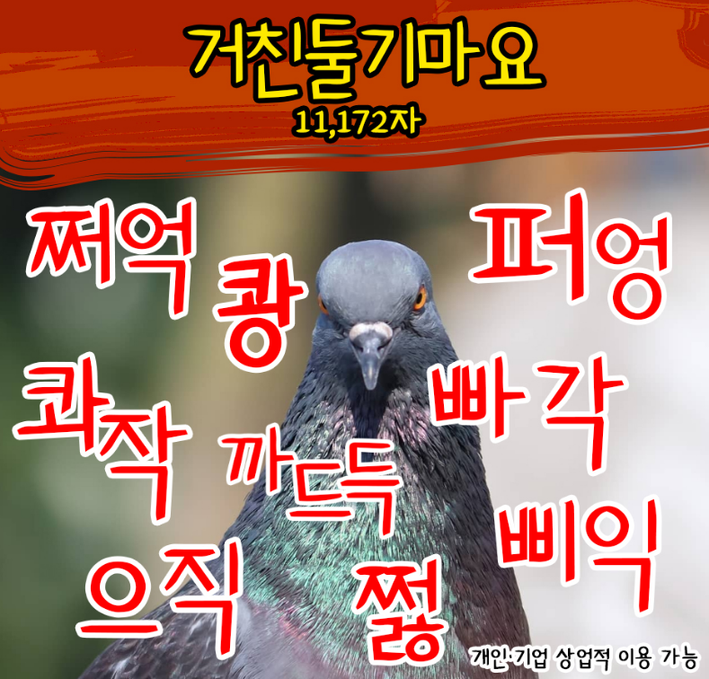 거친둘기마요 서체